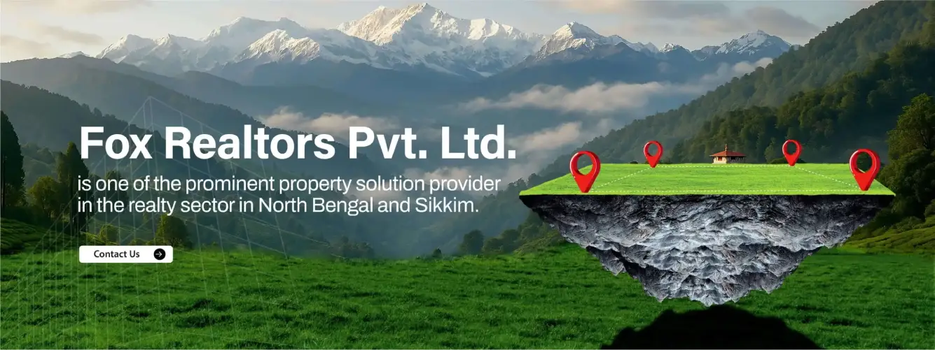 banner-2-1-scaled-1-1