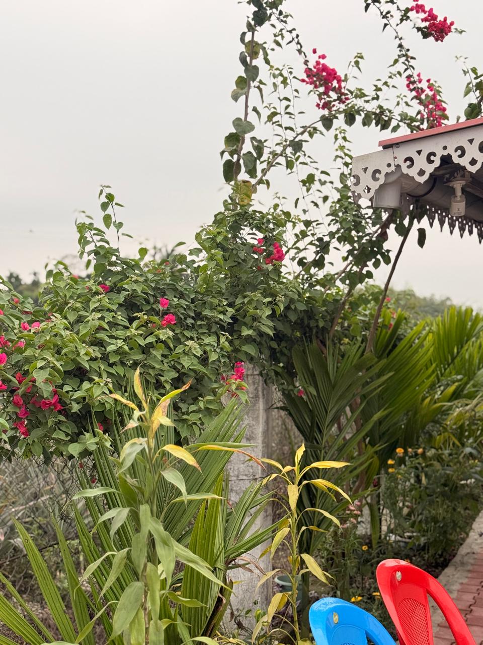 Saipatri Farmhouse – Residential Farm Plots