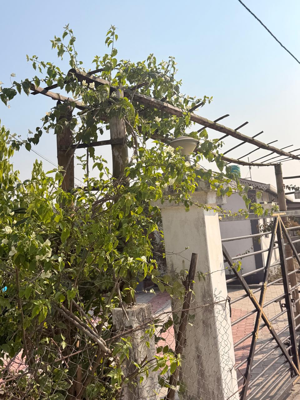 Saipatri Farmhouse – Residential Farm Plots
