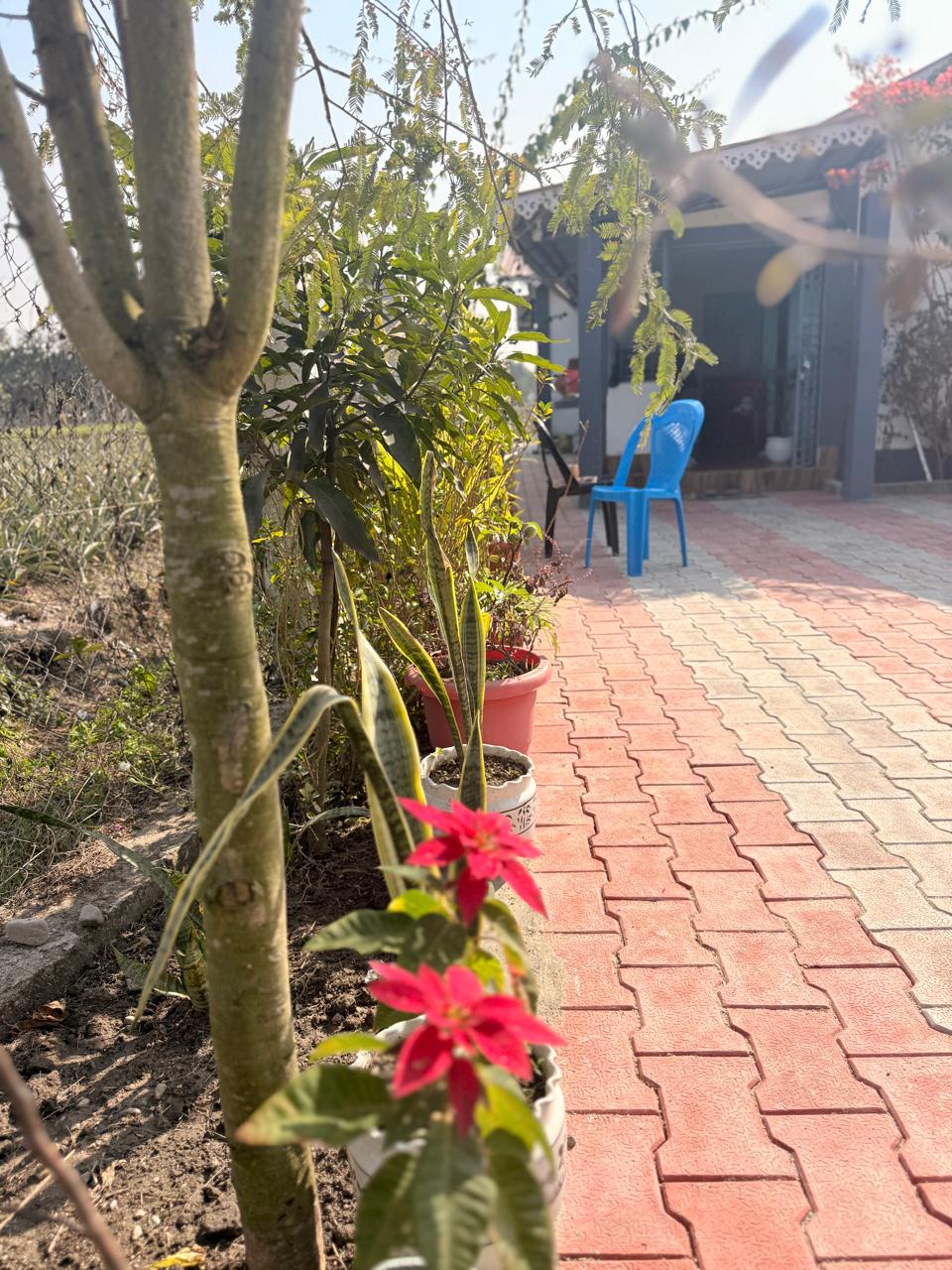 Saipatri Farmhouse – Residential Farm Plots