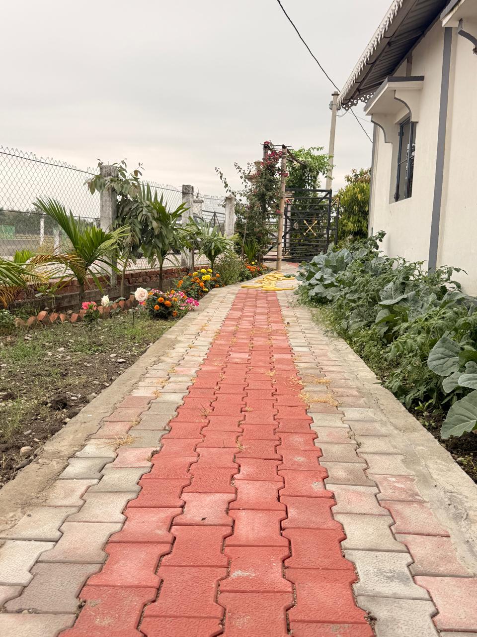 Saipatri Farmhouse – Residential Farm Plots