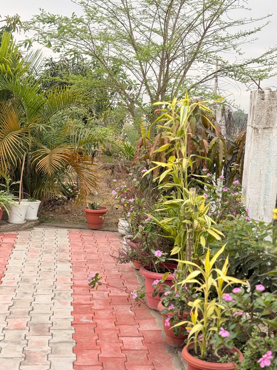 Saipatri Farmhouse – Residential Farm Plots