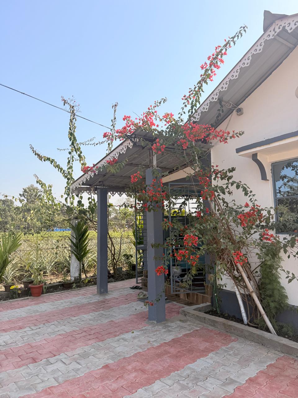 Saipatri Farmhouse – Residential Farm Plots
