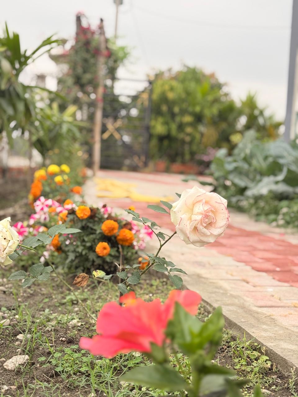 Saipatri Farmhouse – Residential Farm Plots